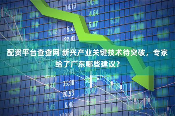 配资平台查查网 新兴产业关键技术待突破，专家给了广东哪些建议？